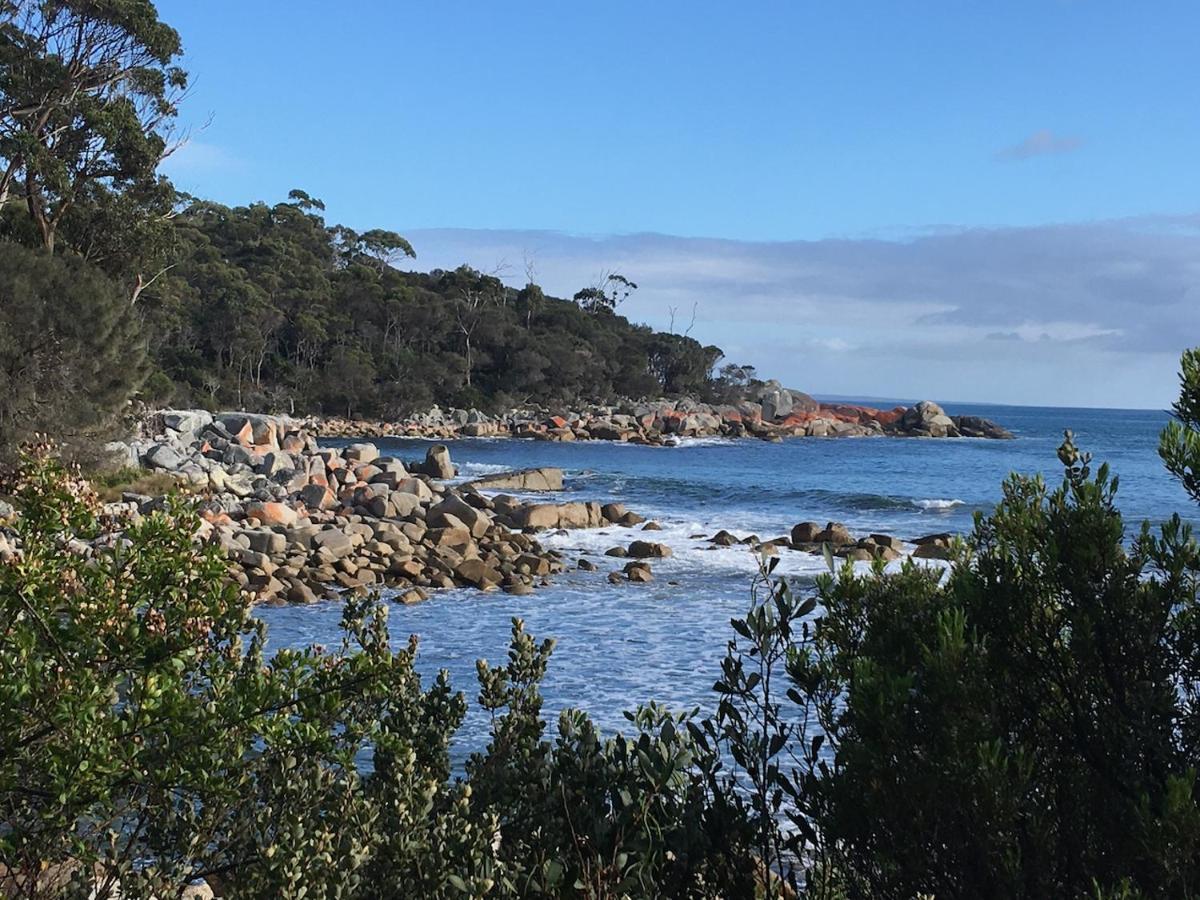 Bay Of Fires Great Escape Villa Binalong Bay Luaran gambar